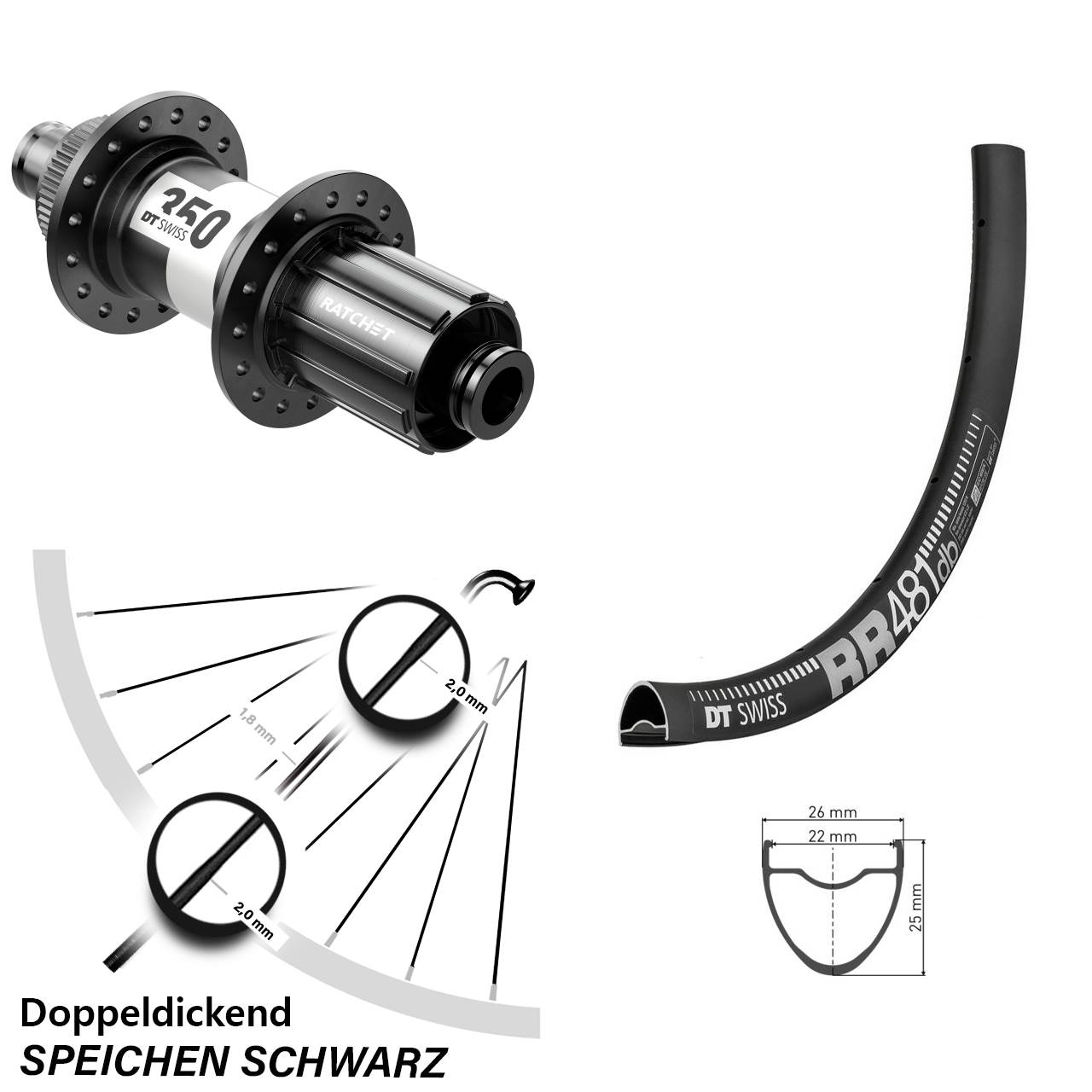 schwarzes 28 Zoll Hinterrad RR 481 DT Swiss 350 Centerlock 12x142 mm